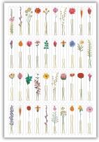 Opakowanie Karnet 12x18cm + koperta Kwiaty z łodygą