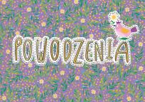 Opakowanie Karnet A5 Powodzenia ptaszek