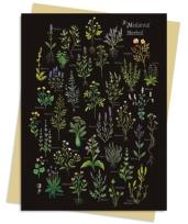 Opakowanie Karnet B6 Średniowieczny zielnik