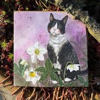 Opakowanie Karnet Kot i ciemierniki