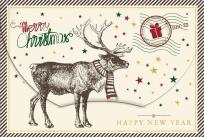 Opakowanie Karnet na kasę Boże Narodzenie Renifer