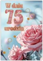 Opakowanie Karnet Silver 75 urodziny