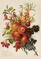 Opakowanie Karnet ST515 B6 + koperta Jesienny bukiet