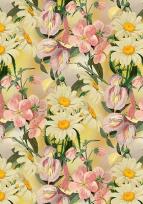 Opakowanie Karnet ST534 B6 + koperta Stokrotki