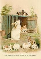 Opakowanie Karnet ST539 B6 + koperta Wielkanoc Króliki