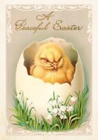 Opakowanie Karnet ST545 B6 + koperta Wielkanoc Pisklę