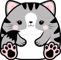 Opakowanie Karnet Uniwersalny - Chonky Cat