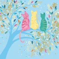 Opakowanie Karnet Uniwersalny - Classy Cats