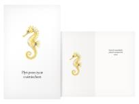 Opakowanie Karnet Urodziny