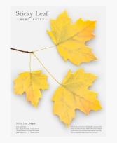 Opakowanie Karteczki samoprzylepne Klon żółty L