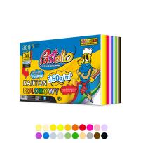 Opakowanie Karton kolorowy A4 160g 20 kolorów 300 arkuszy