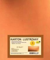 Opakowanie Karton obustronnie lustrzany 350g 21,5x32cm