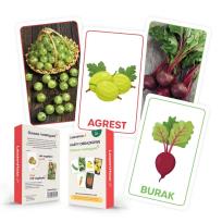 Opakowanie Karty obrazkowe - Owoce i warzywa