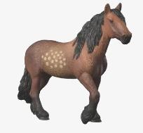 Opakowanie Klacz rasy North Swedish Zimnokrwista