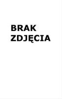 Opakowanie Klocki drewniane Warzywa