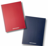 Opakowanie Kołonotatnik A4/80K kratka Swing Mono BG (3szt)