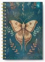 Opakowanie Kołonotatnik ozdobny B5/160K kratka