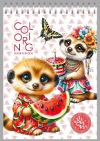 Opakowanie Kolorowanka 148x210 z naklejkami 26obrazków Surykatki