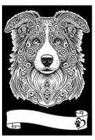 Opakowanie Kolorowanka Welwetowa A4 Border Collie