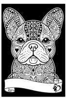 Opakowanie Kolorowanka Welwetowa A4 Buldog Francuski