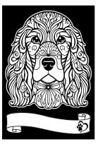Opakowanie Kolorowanka welwetowa A4 Cocker Spaniel