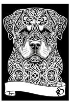 Opakowanie Kolorowanka welwetowa A4 Rottweiler
