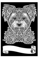 Opakowanie Kolorowanka Welwetowa A4 Yorkshire Terrier