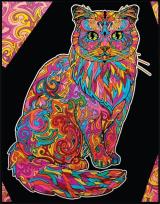 Opakowanie Kolorowanka welwetowa Kot długowłosy 47x35cm