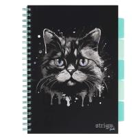 Opakowanie Kołozeszyt Pads A4/100K linia Kot