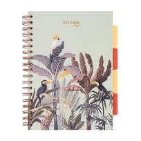 Opakowanie Kołozeszyt Pads B5/100K kratka Afryka pastel ziel