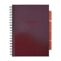 Opakowanie Kołozeszyt Pads B5/100K kratka Basic bordowy