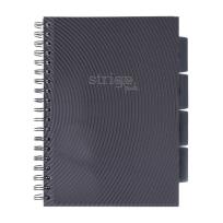 Opakowanie Kołozeszyt Pads B5/100K kratka Basic szary