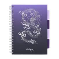 Opakowanie Kołozeszyt Pads B5/100K kratka Głębiny Smok wodny