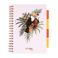 Opakowanie Kołozeszyt Pads B5/100K kratka Tropiki Pelikan