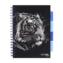 Opakowanie Kołozeszyt Pads B5/100K kratka Tygrys