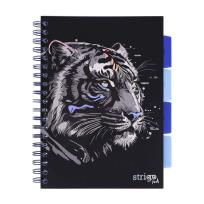 Opakowanie Kołozeszyt Pads B5/100K linia Tygrys