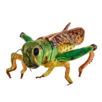 Opakowanie Konik polny 41cm