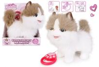 Opakowanie Kot chodzący na smyczy biało rudy