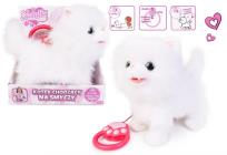 Opakowanie Kot chodzący na smyczy