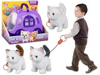 Opakowanie Kot na baterie z transporterem MIX