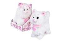 Opakowanie Kotek chodzący Natalia na smyczy biały