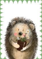 Opakowanie LDC24 Karnecik Jeżyk