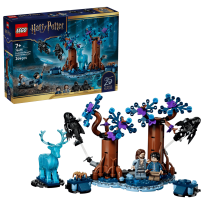 Opakowanie LEGO Harry Potter Zakazany las Expecto Patronum 76475