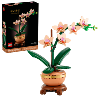 Opakowanie LEGO(R) BOTANICALS 10343 Mała orchidea