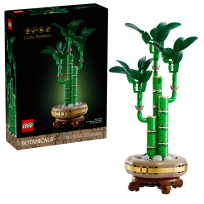 Opakowanie LEGO(R) BOTANICALS 10344 Dracena sandera