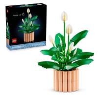 Opakowanie LEGO(R) BOTANICALS 11504 (3szt) Skrzydłokwiat
