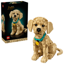 Opakowanie LEGO(R) ICONS 11384 (2szt) Szczeniak golden retriever