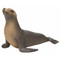 Opakowanie Lew morski