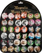 Opakowanie Magnesy koty 3,5cm 36szt