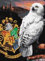 Opakowanie Malowania po numerach - Harry Potter: Hedwiga...